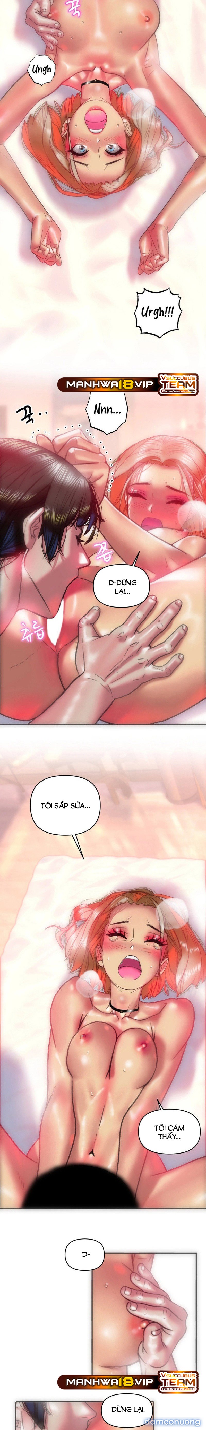 Những Cô Vợ Chiến Lợi Phẩm 