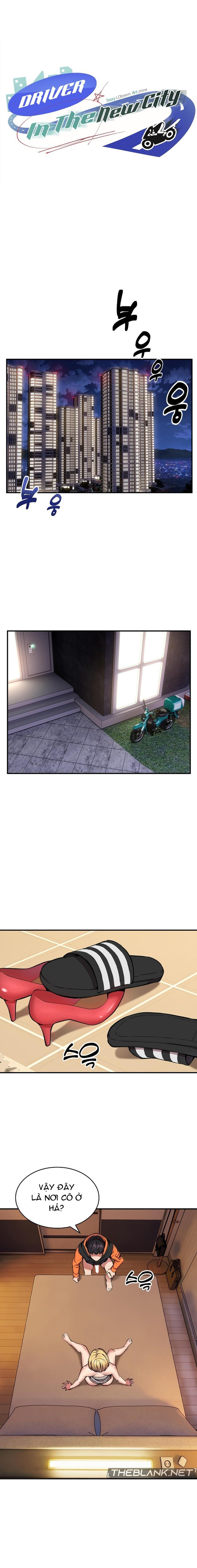 Shipper số đỏ 