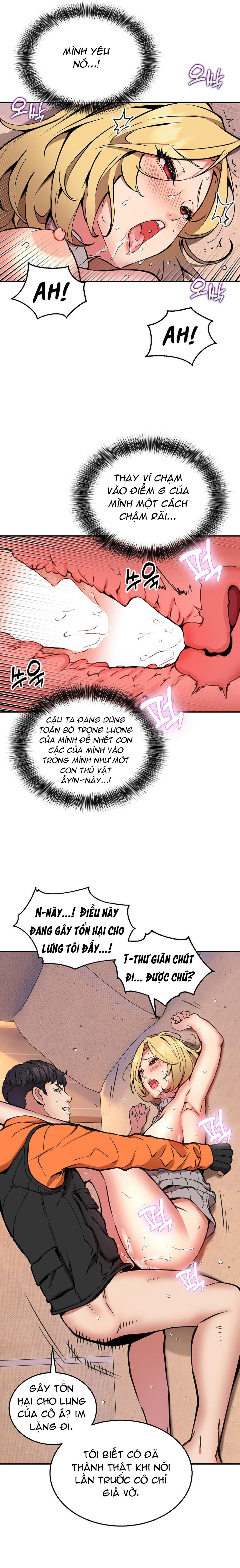 Shipper số đỏ 
