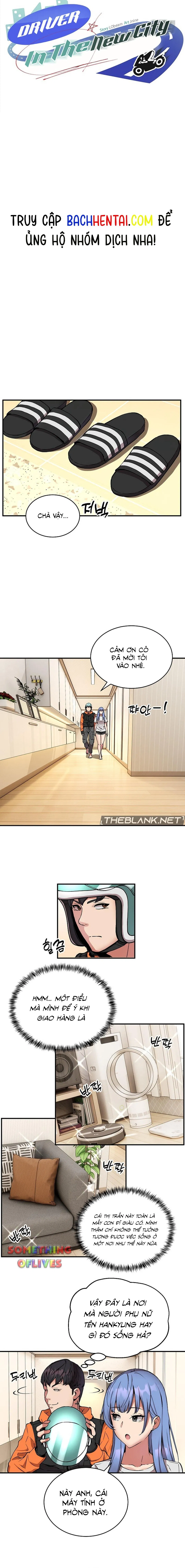 Shipper số đỏ 