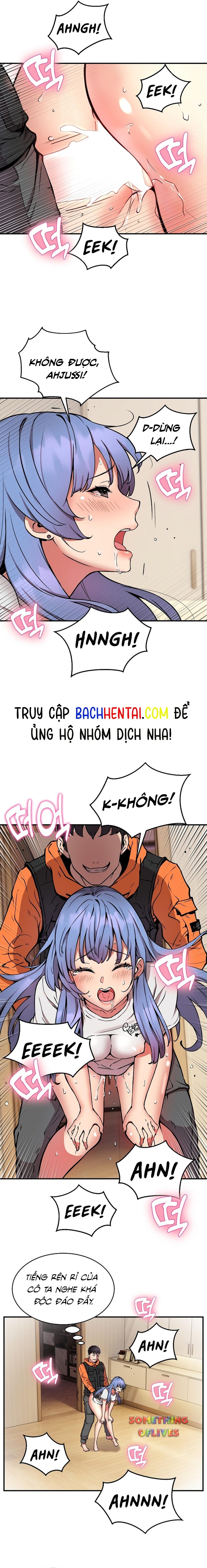 Shipper số đỏ 