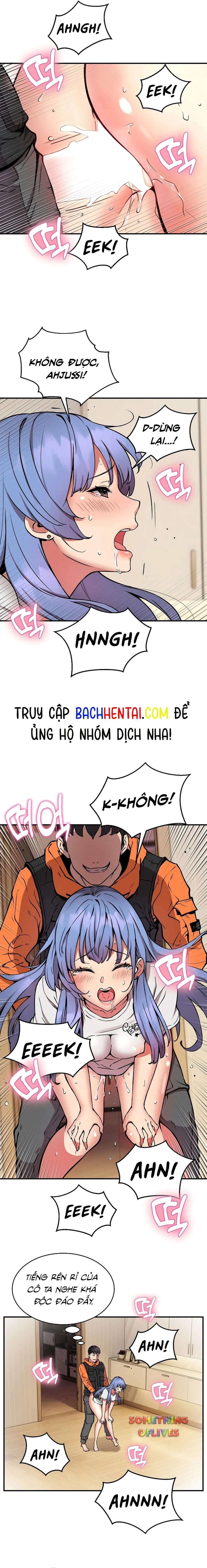 Shipper số đỏ 