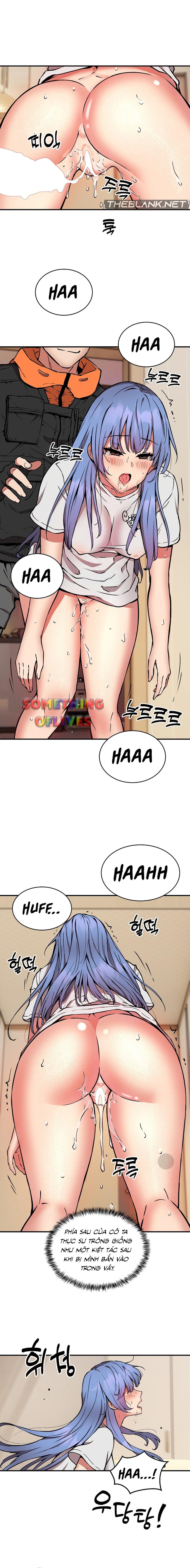 Shipper số đỏ 