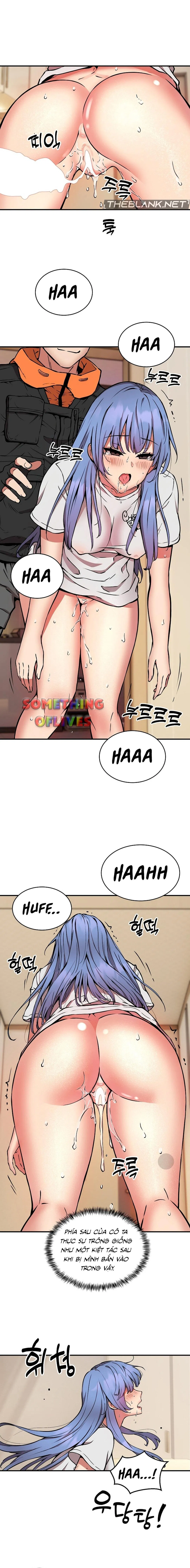 Shipper số đỏ 