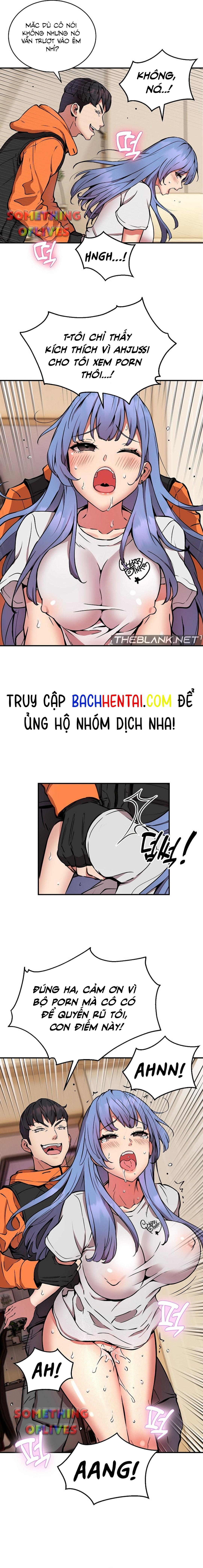 Shipper số đỏ 