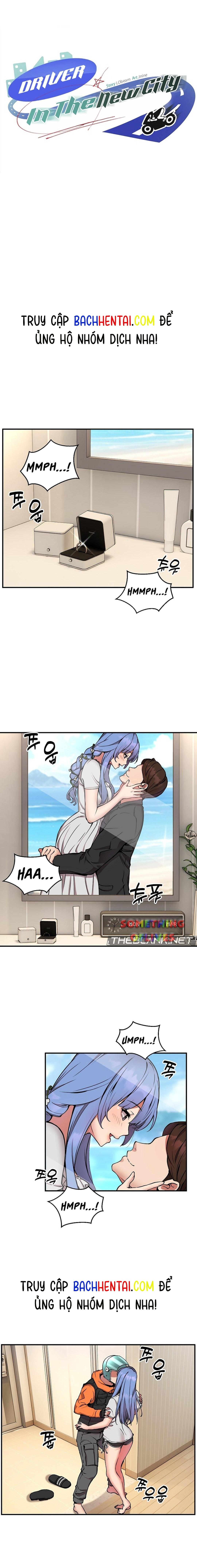 Shipper số đỏ 
