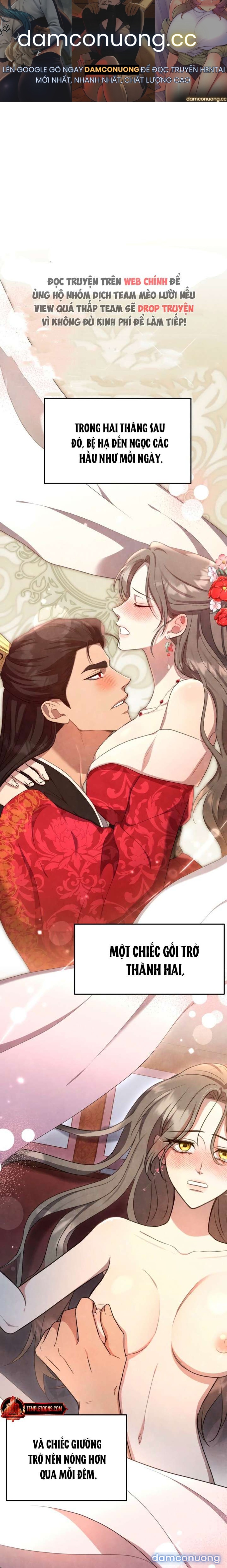 [18+] Đêm Cưỡng Đoạt 