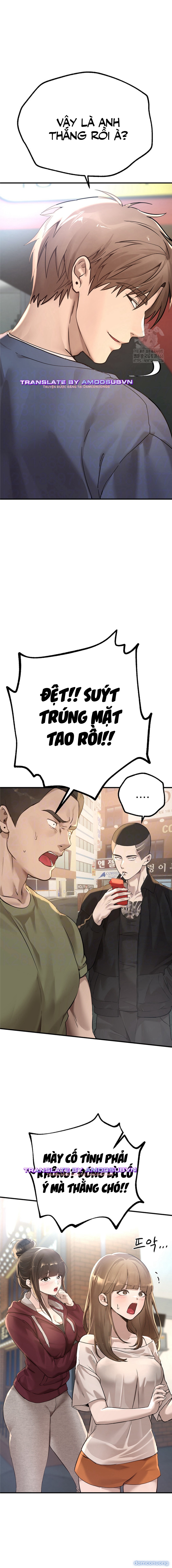 Những ngày rực rỡ 