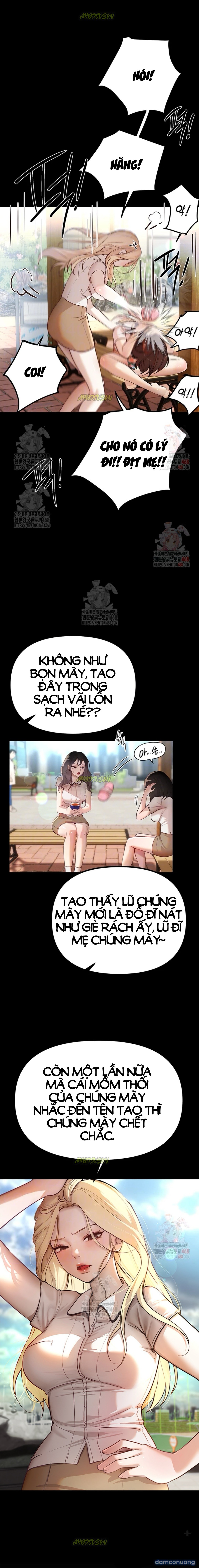 Những ngày rực rỡ 