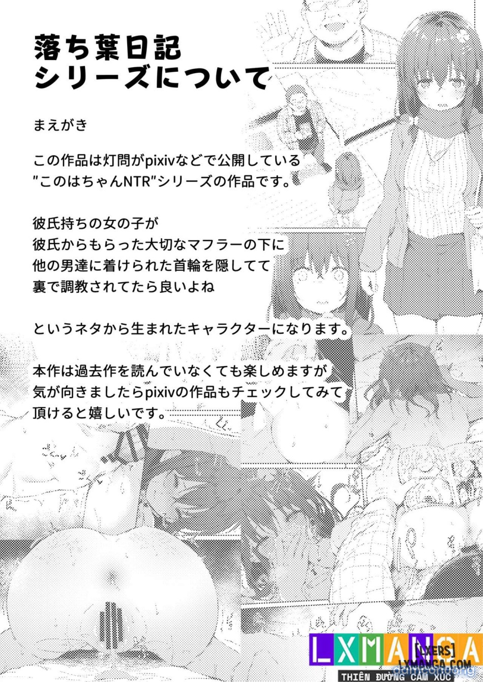 Ochiba Nikkiii 
