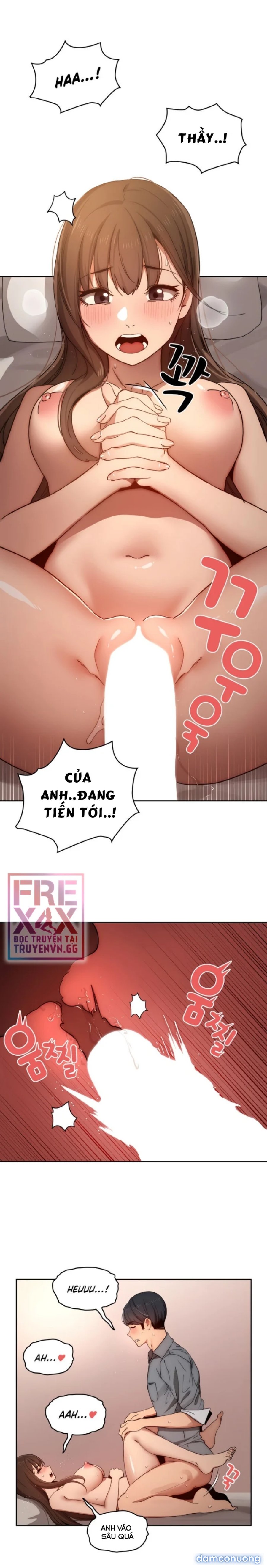 Gia Sư Mùa Hovid 