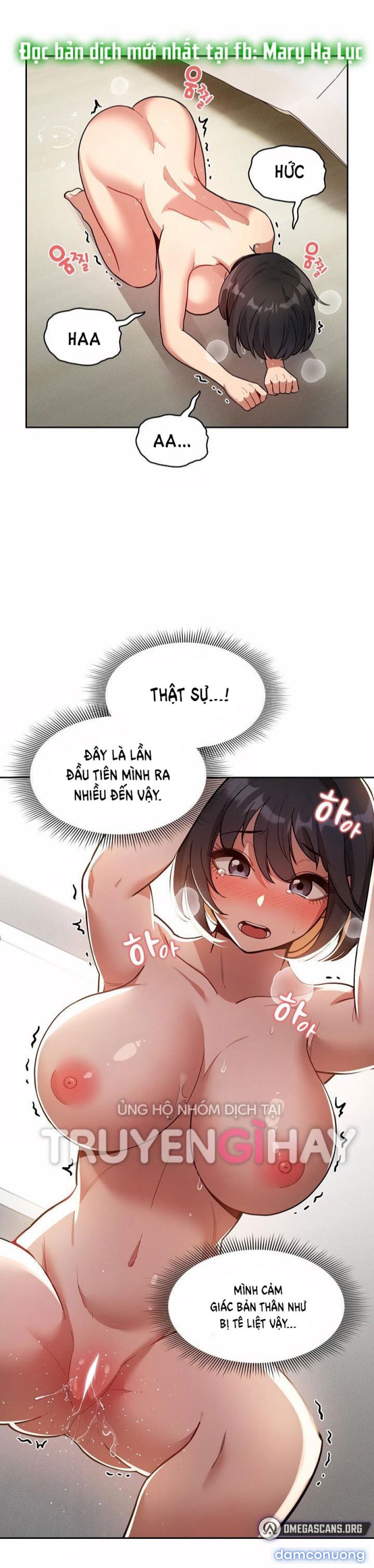 Gia Sư Mùa Hovid 