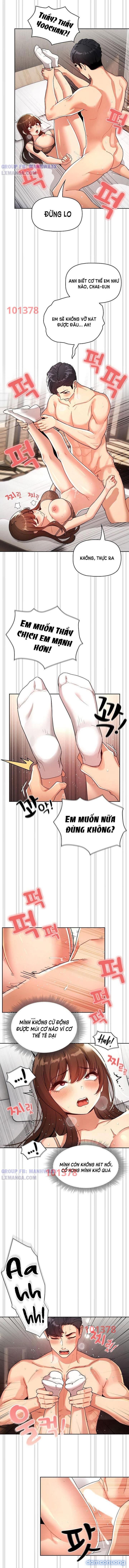 Gia Sư Mùa Hovid 