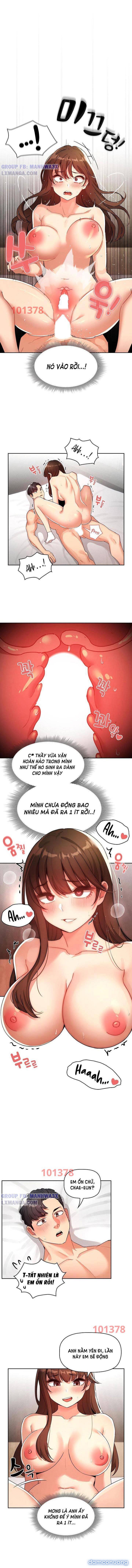 Gia Sư Mùa Hovid 