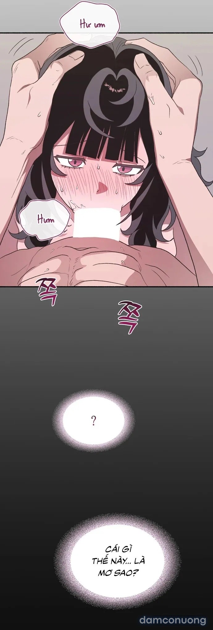 Hãy Nắm Lấy Tay Tôi 