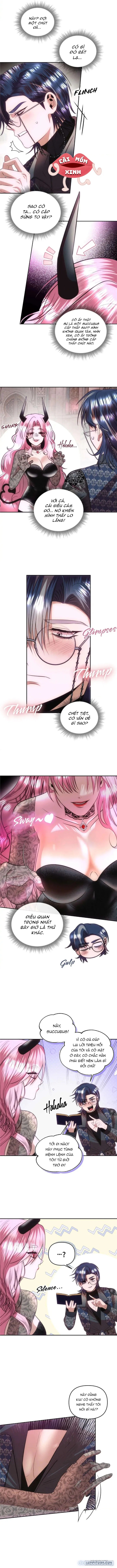 Succubus Ngược Đời 