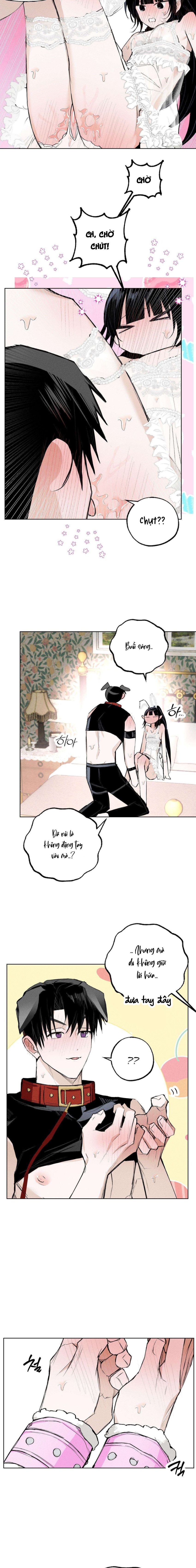 [ 18+ ] Vỏ Bọc Lãng Mạn 