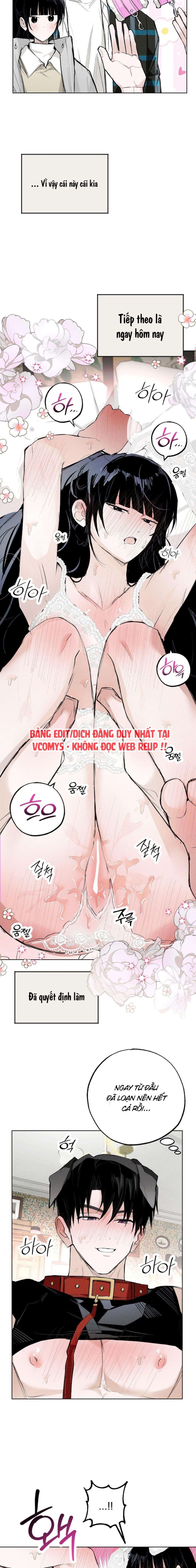 [ 18+ ] Vỏ Bọc Lãng Mạn 