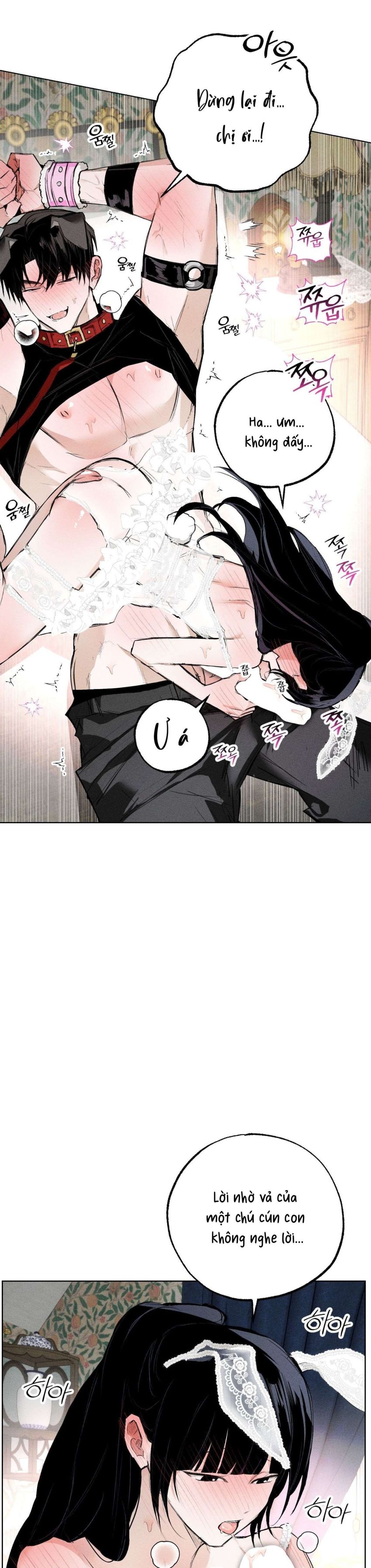 [ 18+ ] Vỏ Bọc Lãng Mạn 