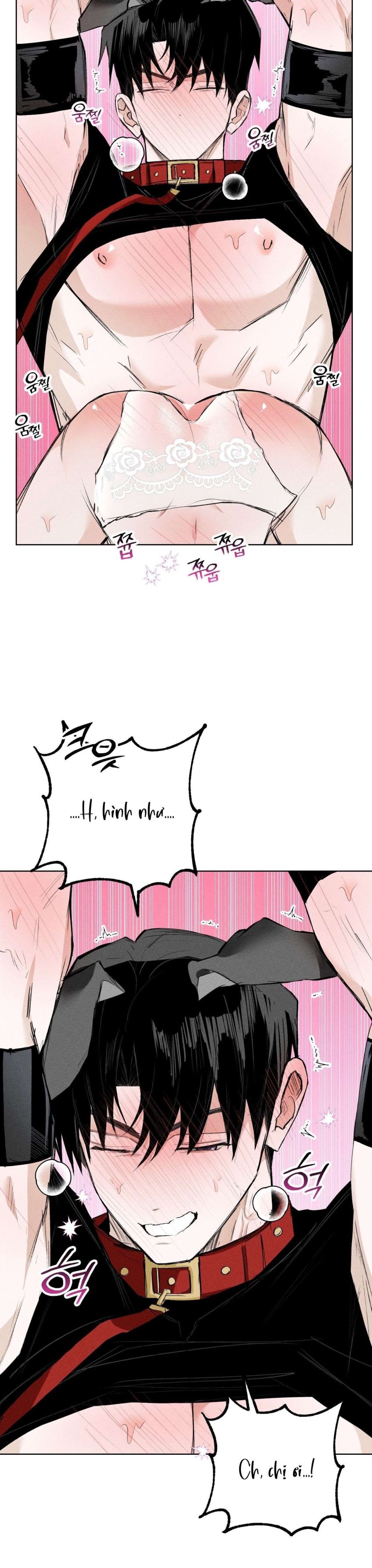 [ 18+ ] Vỏ Bọc Lãng Mạn 