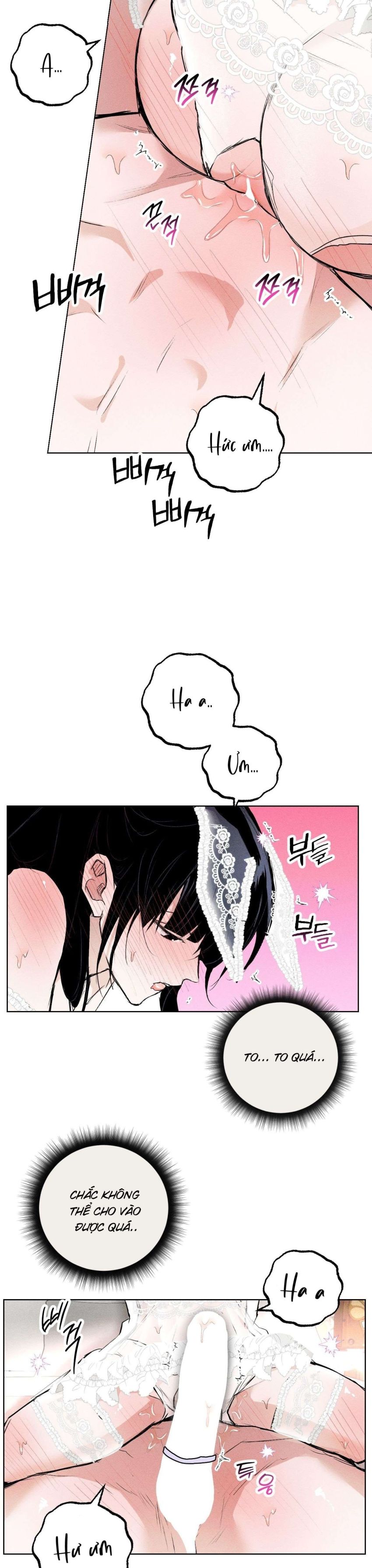 [ 18+ ] Vỏ Bọc Lãng Mạn 
