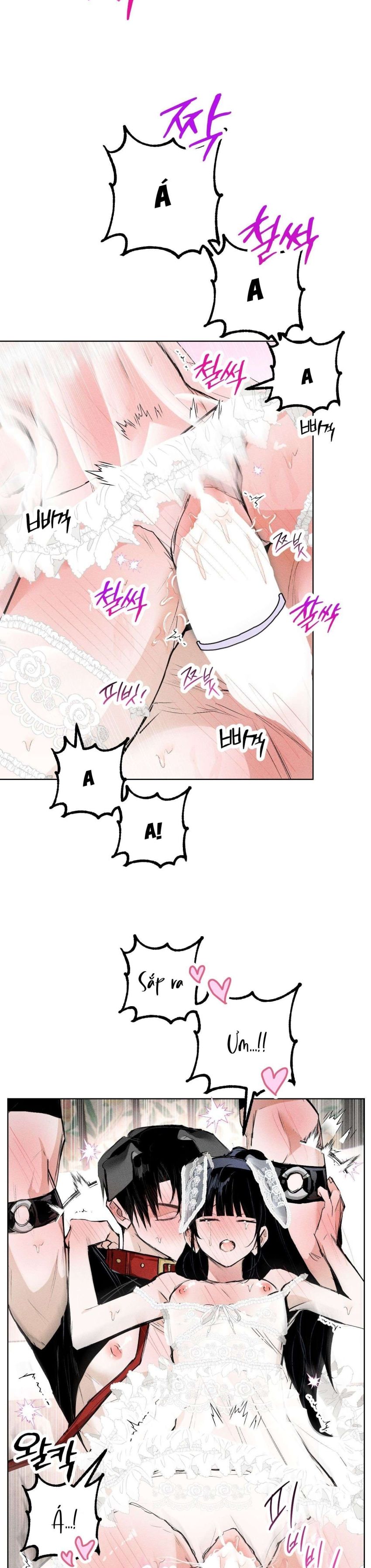 [ 18+ ] Vỏ Bọc Lãng Mạn 