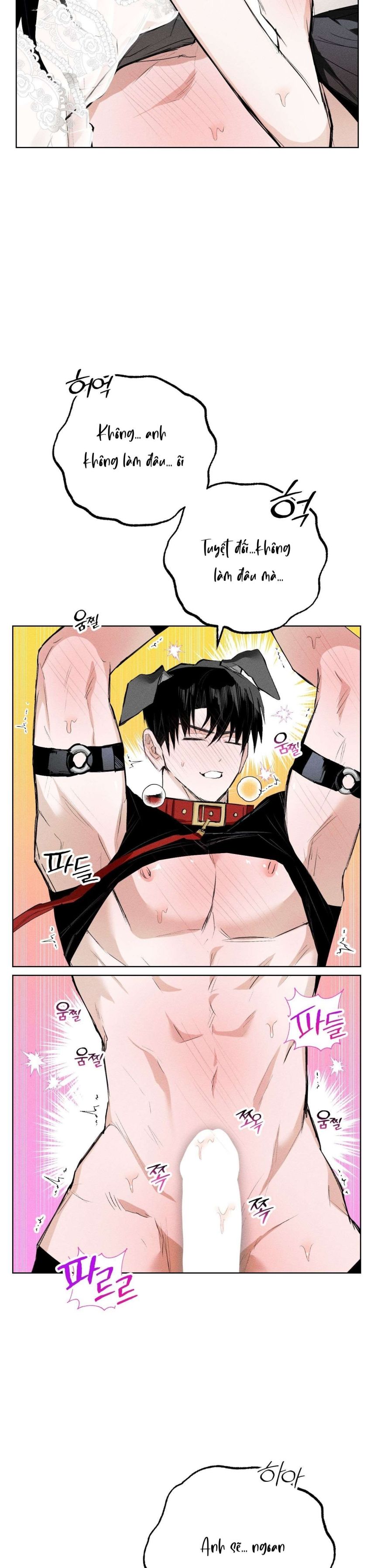 [ 18+ ] Vỏ Bọc Lãng Mạn 