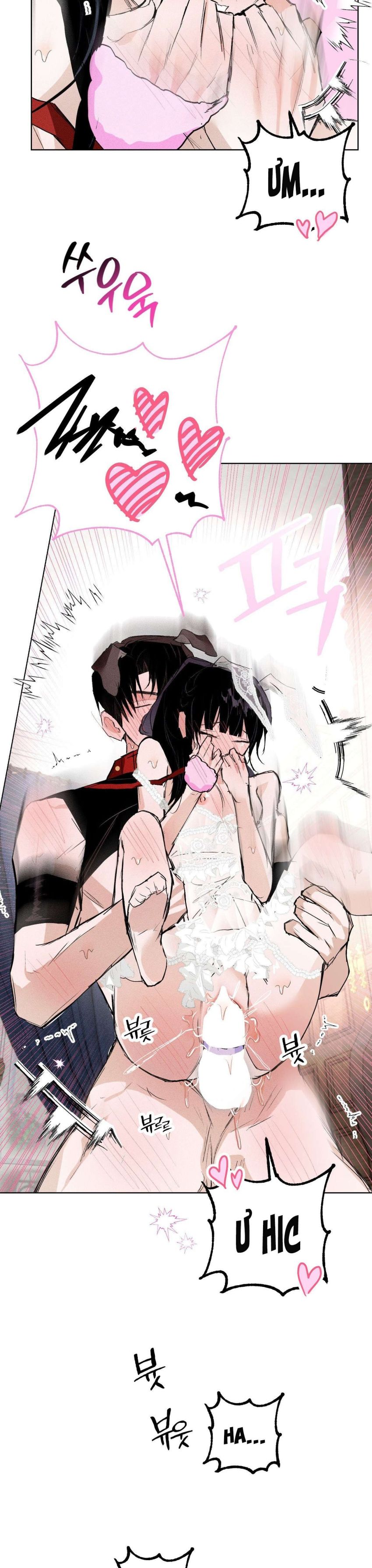 [ 18+ ] Vỏ Bọc Lãng Mạn 
