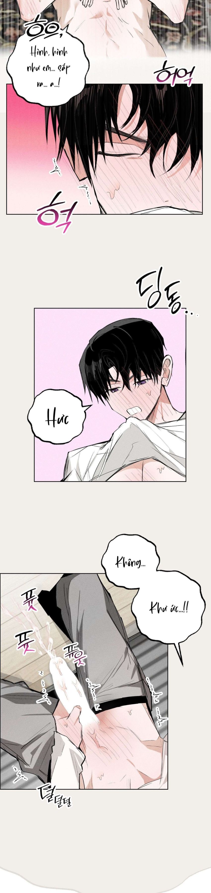 [ 18+ ] Vỏ Bọc Lãng Mạn 
