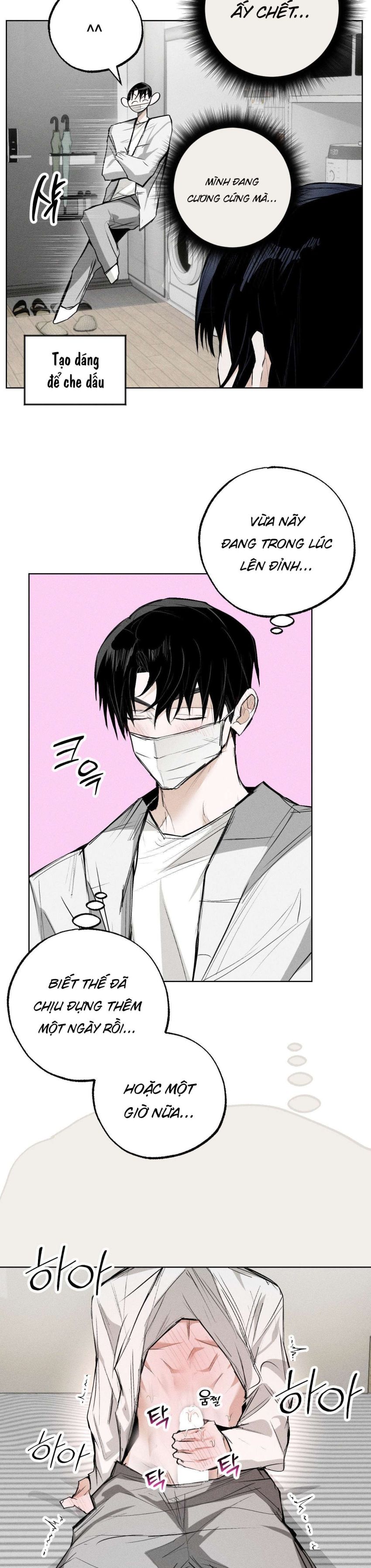 [ 18+ ] Vỏ Bọc Lãng Mạn 