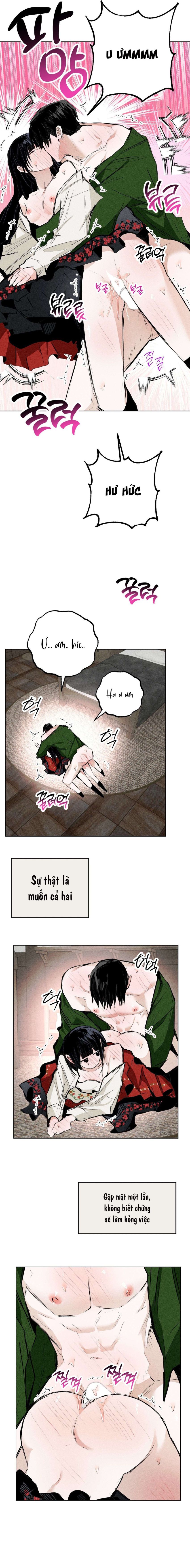[ 18+ ] Vỏ Bọc Lãng Mạn 