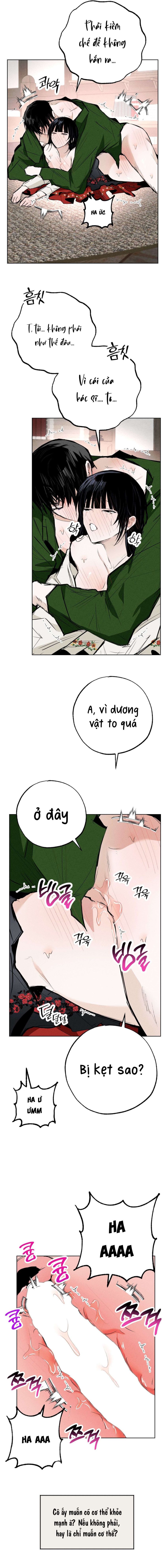 [ 18+ ] Vỏ Bọc Lãng Mạn 