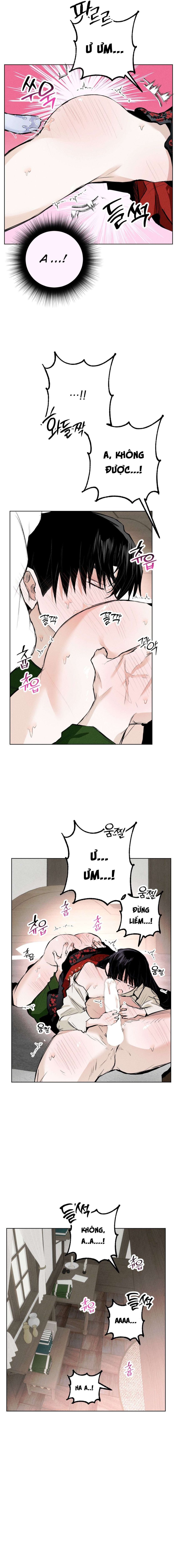[ 18+ ] Vỏ Bọc Lãng Mạn 