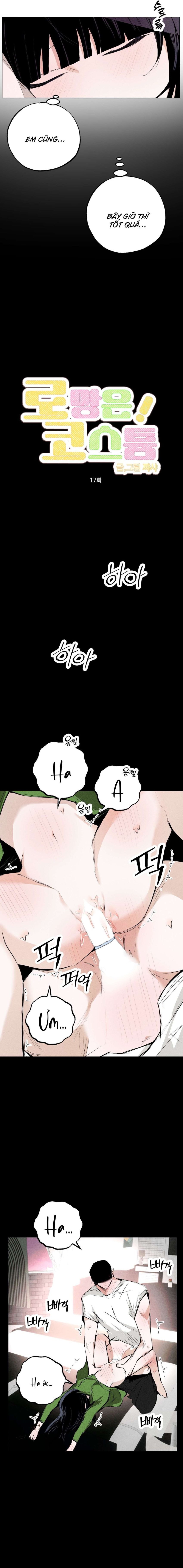 [ 18+ ] Vỏ Bọc Lãng Mạn 