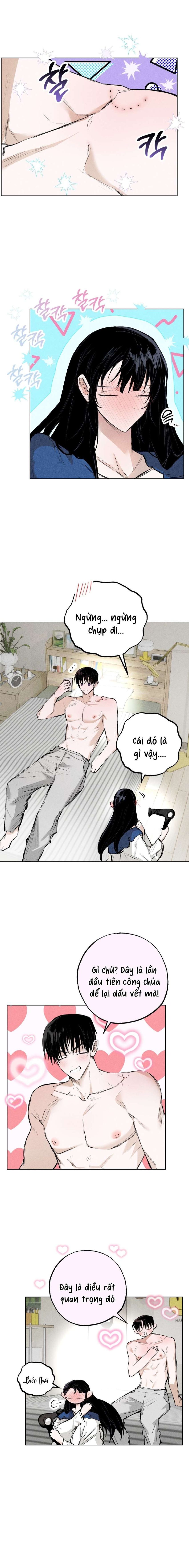 [ 18+ ] Vỏ Bọc Lãng Mạn 