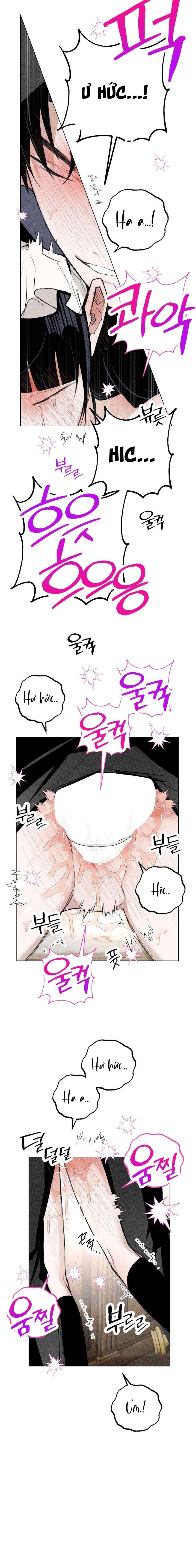 [ 18+ ] Vỏ Bọc Lãng Mạn 