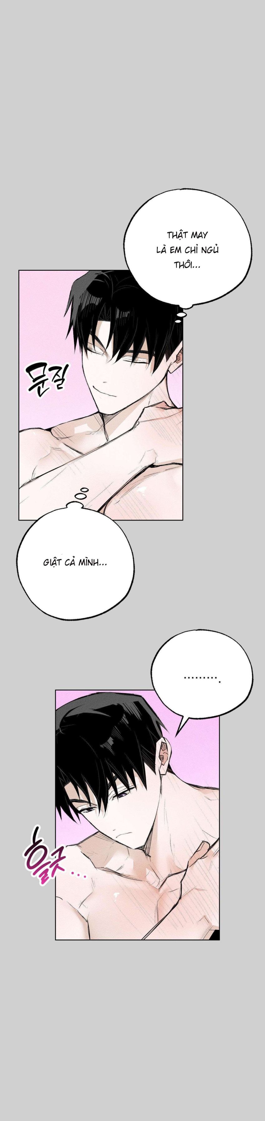[ 18+ ] Vỏ Bọc Lãng Mạn 