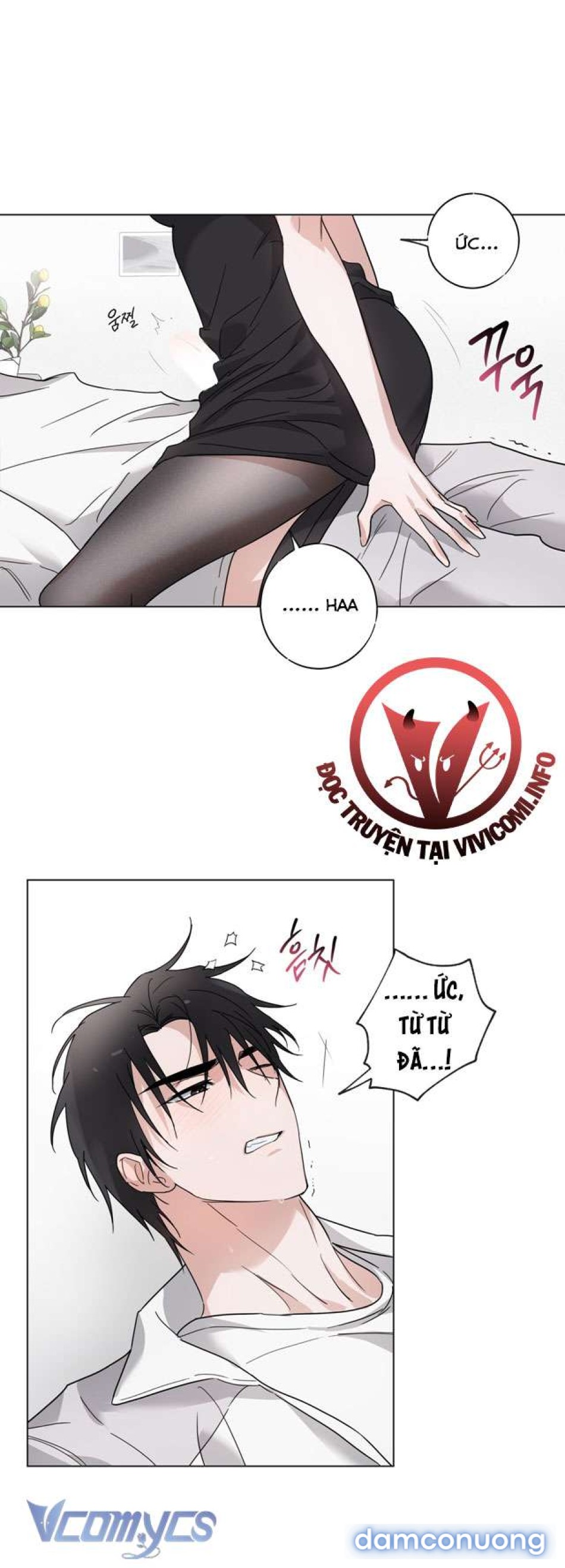 [KHÔNG CHE] Mãn Xà Không Thể Hoá Thành Rồng 