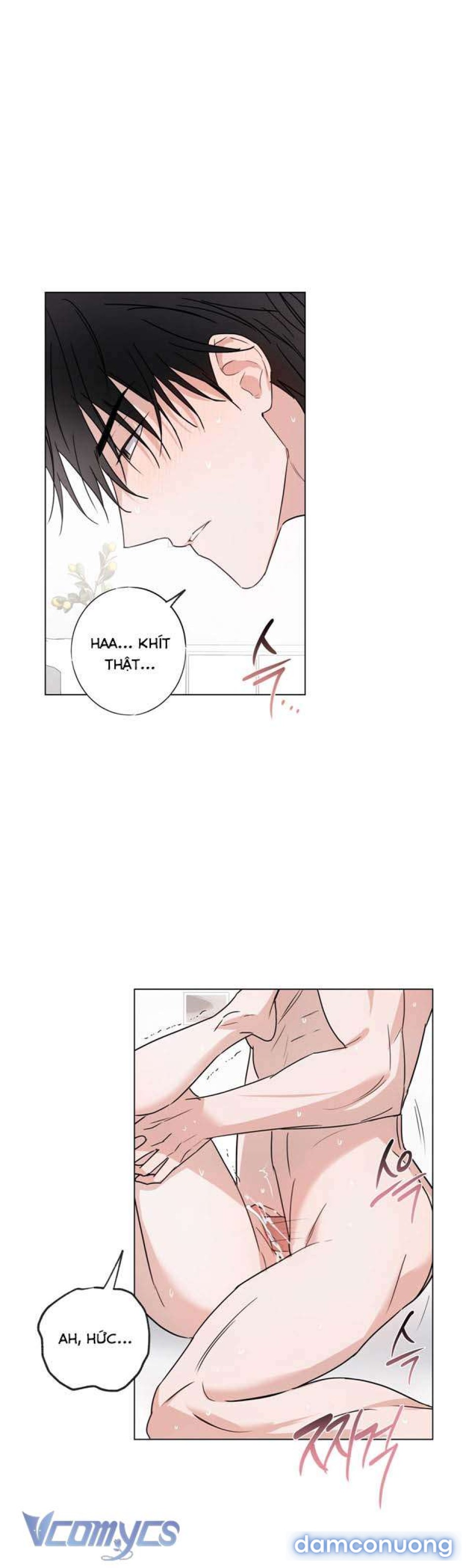 [KHÔNG CHE] Mãn Xà Không Thể Hoá Thành Rồng 