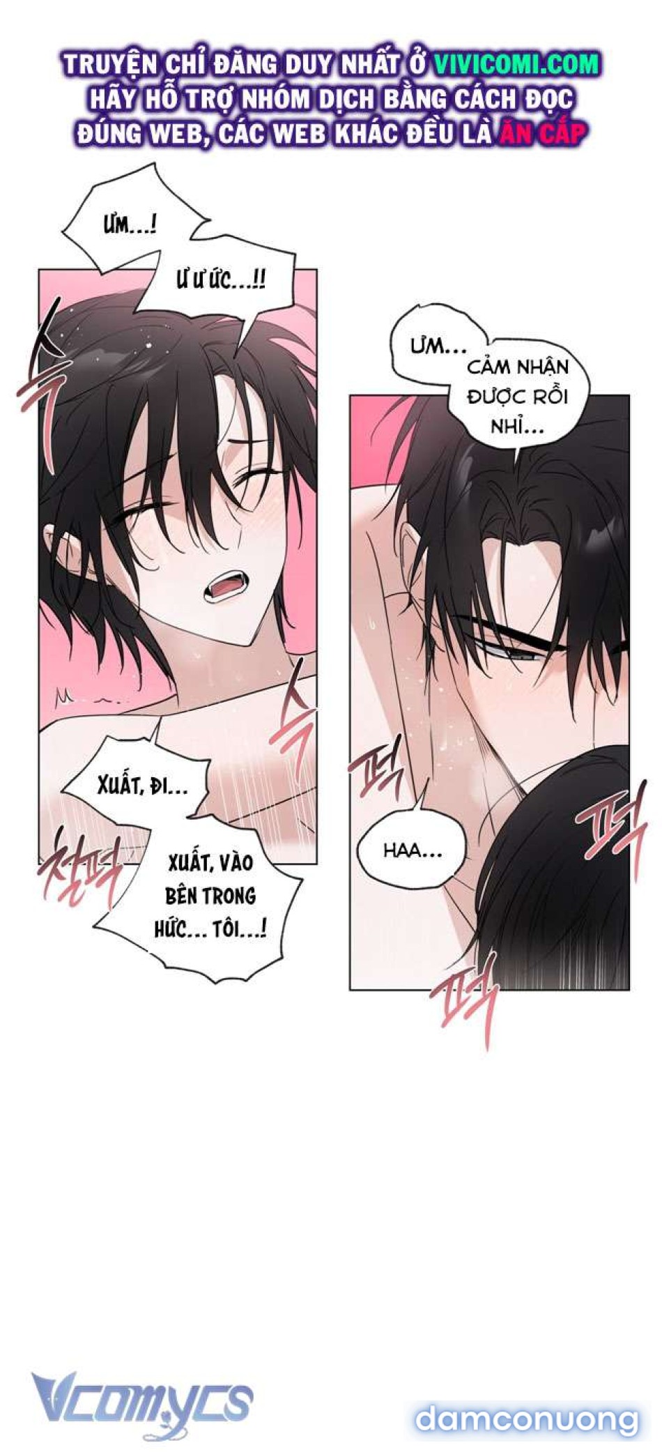 [KHÔNG CHE] Mãn Xà Không Thể Hoá Thành Rồng 