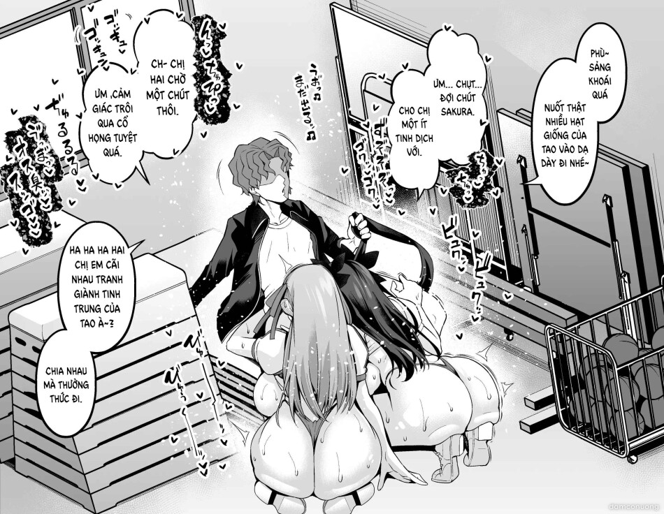 Saoyaku Shinji ga Saber-tachi to Yarimakuru Hon 