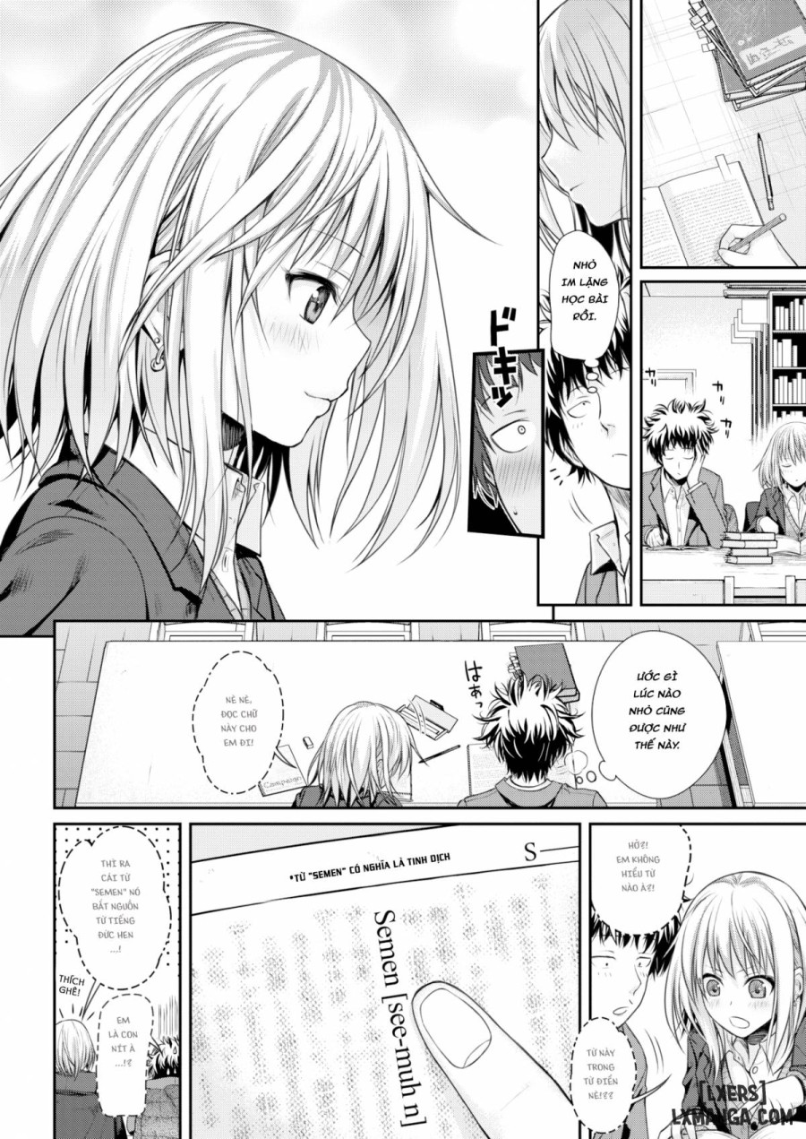 Koyori Report 
