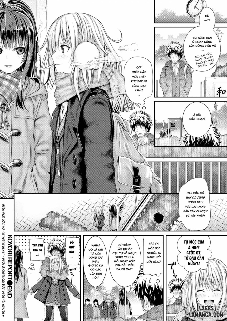 Koyori Report 