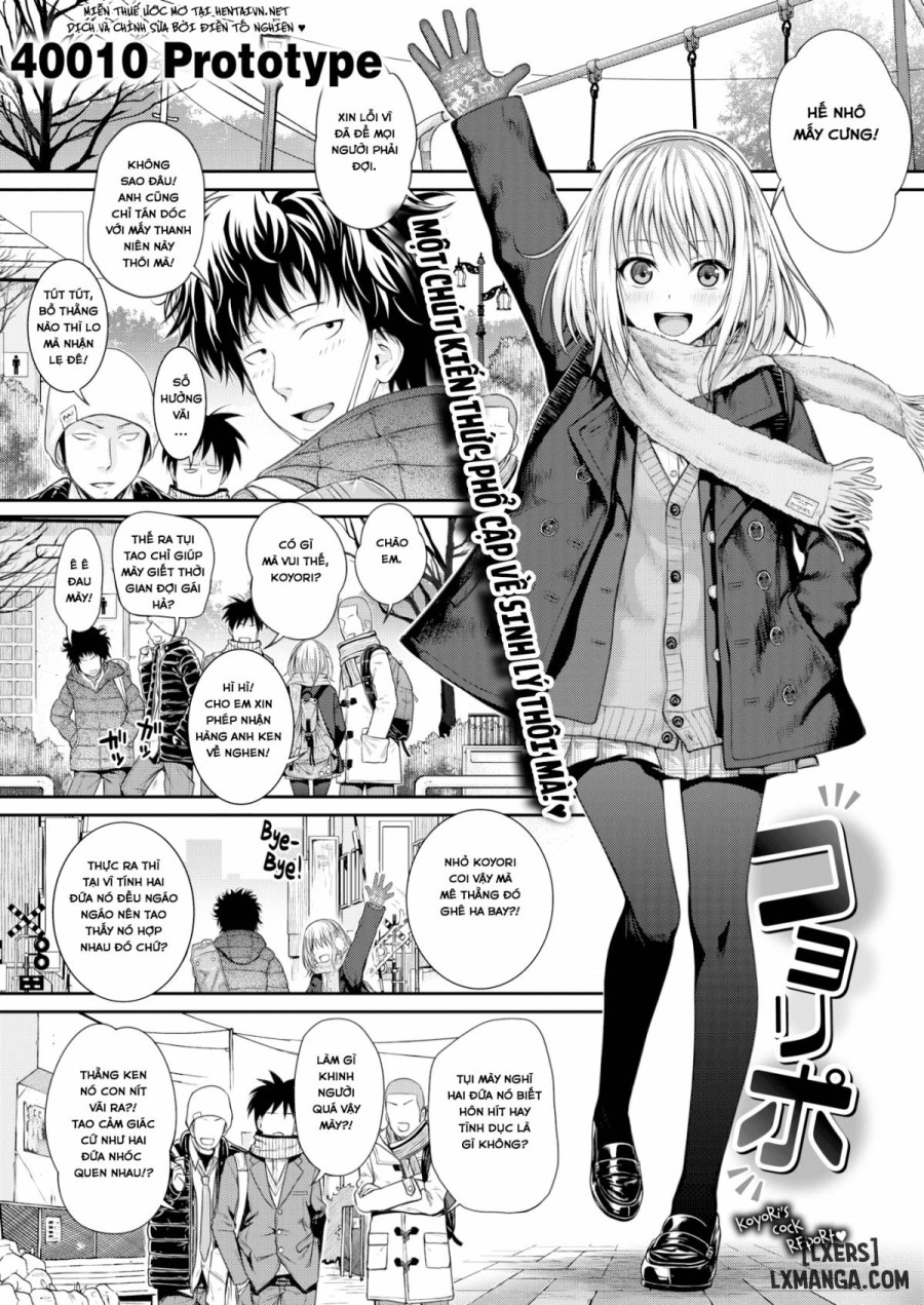 Koyori Report 