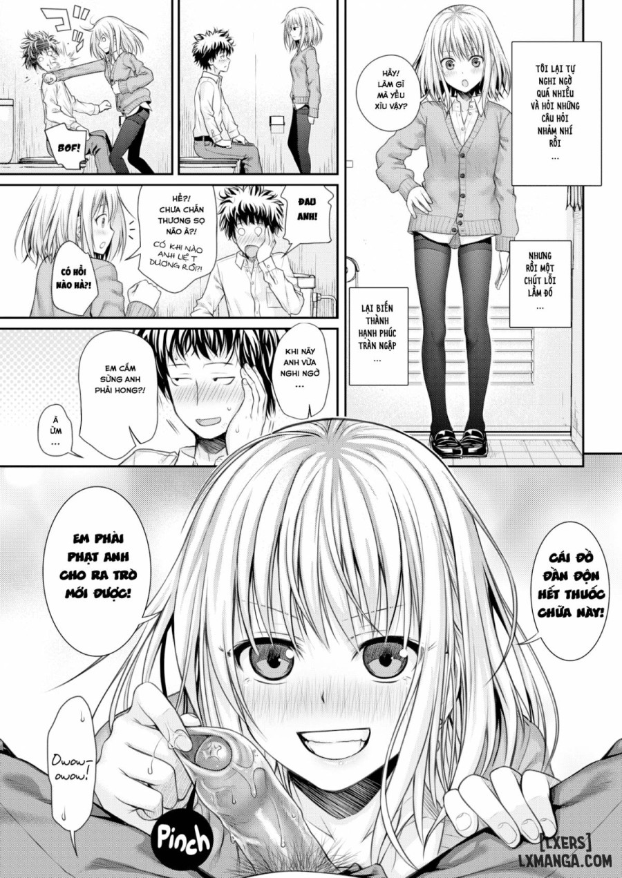 Koyori Report 