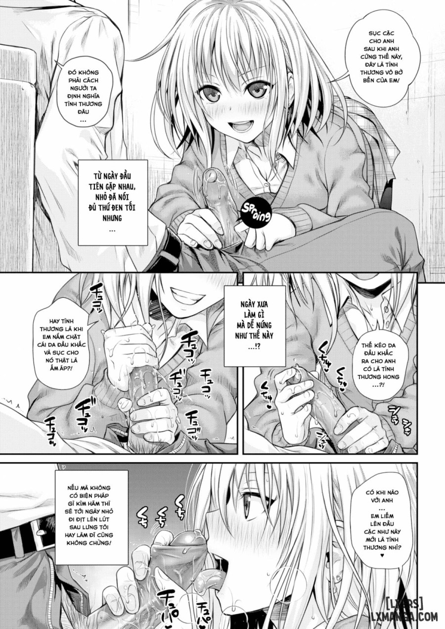 Koyori Report 