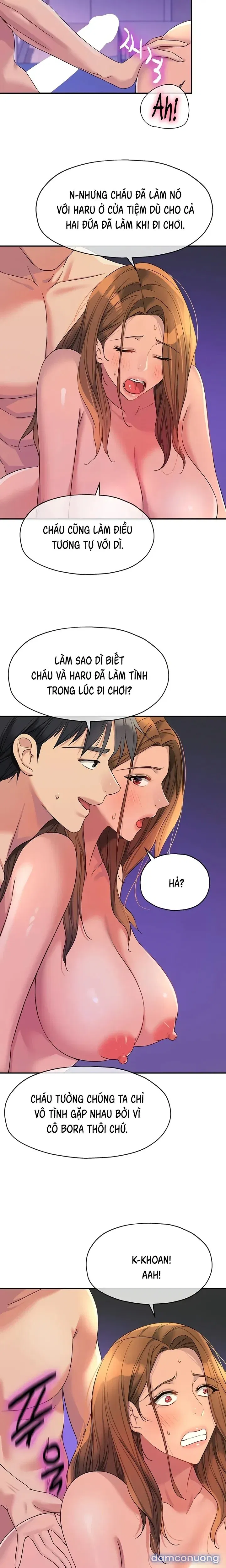 Thế Giới Mở 
