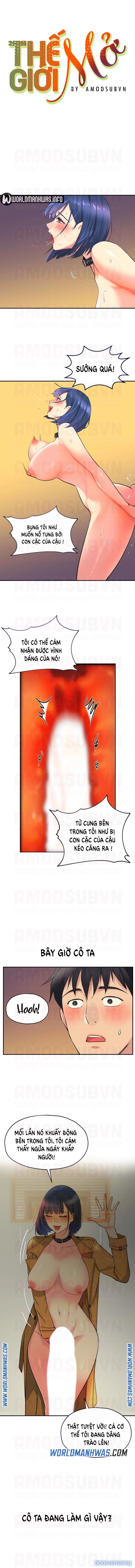 Thế Giới Mở 