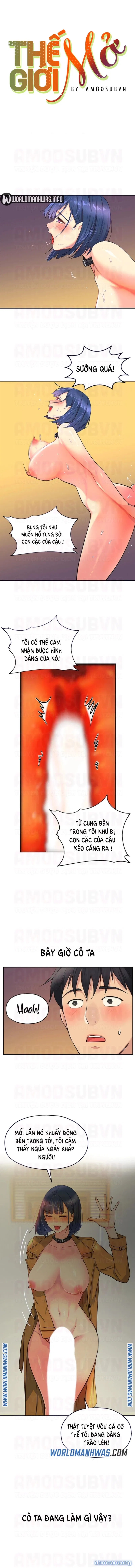 Thế Giới Mở 
