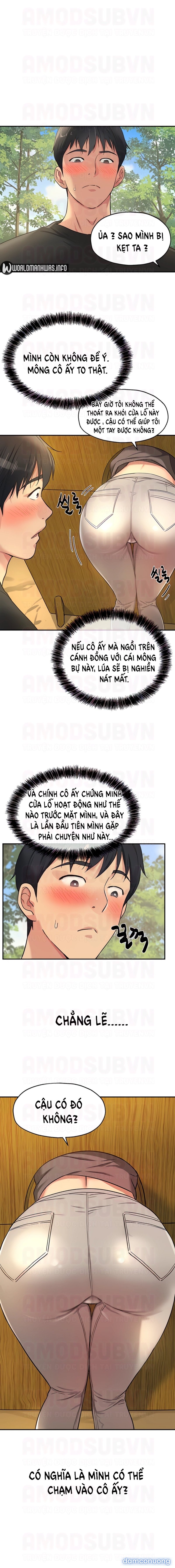 Thế Giới Mở 
